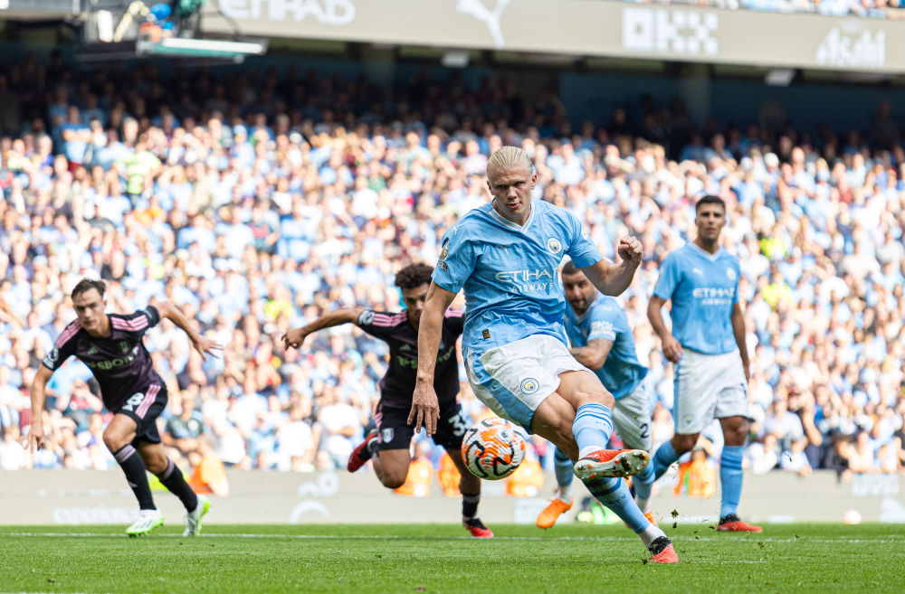 致敬，都柏林动物园将一只极度濒危的鹦鹉取名特洛伊-帕罗特